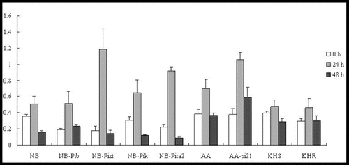 Figure 8. Expression pattern of OsHSP90 in the studied rice lines at 0 h, 24 h and 48 h p.i. with M. oryzae spores.