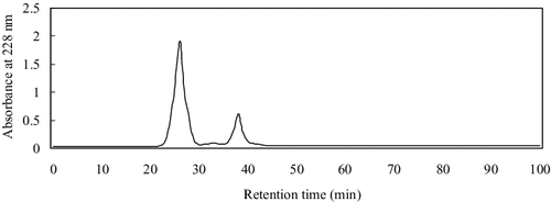 Figure 3. Chromatogram of the active fraction (fraction C) from Sephadex G-15 column loaded on a Zorbax C18 column (Semi-prep HPLC).