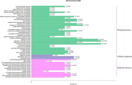 Figure 3. GO enrichment analysis results. The majority of processes included were biological processes, followed by molecular functions. Cellular component processes only comprised 112 of the 1062 total processes included in the GO annotation.