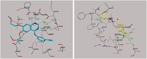 Figure 7. Binding mode of co-crystallized inhibitor (left panel) and compounds 20 (right panel) within EGFR binding site (PDB ID: 1M17).