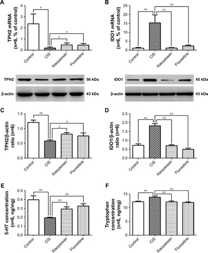 Figure 4 Changes in the hippocampal tryptophan metabolism of chronic stress-depressed rats.