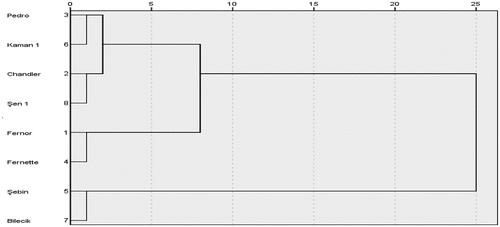 Figure 2. Dendrogram of hierarchical cluster analysis obtained by Ward’s clustering method.