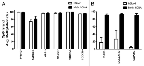 Figure 3. Pyrosequencing validation of Illumina HumanMethylation27 array data. Pyrosequencing results of CpG islands that include the CpG site that was analyzed by the Illumina array for each gene. (A) Validation results of Illumina hypermethylated genes. (B) Validation results of Illumina hypomethylated genes. Error bars represent STD of methylation (%) between CpG sites within the CpG islands analyzed. No statistical differences were found.