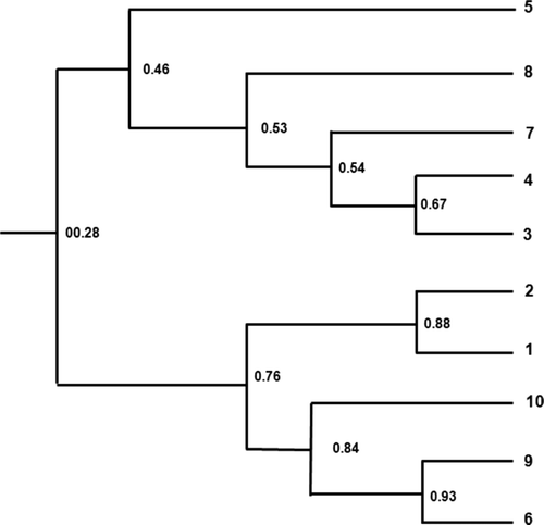 Figure 5. A UPGMA phenogram of catechins-rich and -poor tea tree lines based on RAPD analysis. 1: HR-52, 2: HR-29, 3: HR-82, 4: HR-123, 5: HR-55, 6: HP-19, 7: HP-108, 8: HP-138, 9: HP-150, and 10: HP-18.