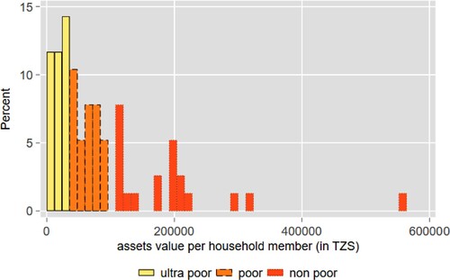 Figure 1. Distribution of the total value of assets per household (September 2017). Note: adjusted for household size (counting 0.5 per child/elderly).