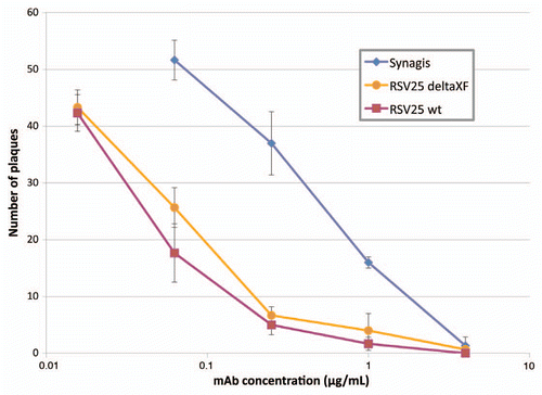 Figure 4 RSV neutralization assay comparing Synagis (palivizumab; MedImmune) with mAb RSV25 produced in wild type (wt) or ΔXF (deltaXF) N. benthamiana (Synagis). The neutralizing activity of the Mabs was measured by a plaque reduction assay using HEp-2 cell culture and the A2 strain of RS V. Plaques for each Ab dilution were counted, triplicates averaged and Ab dilution vs. plaque number plotted. This study was performed by Dr. James Crowe (Vanderbilt University, Nashville, TN).