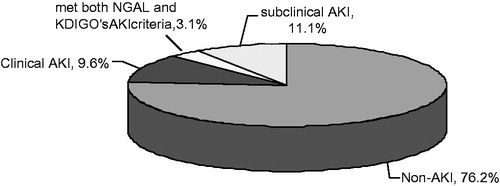 Figure 1. Pie chart of the clinical outcomes; no CI-AKI (n = 48), subclinical CI-AKI (n = 7), clinical KDIGO CI-AKI (n = 8), with two subjects meeting with subclinical and clinical criteria.