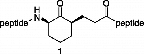 Figure 1.  Structure of inhibitor 1.