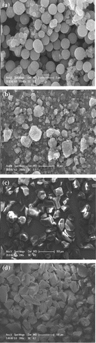 Figure 1. SEM images of TiO2(T) (a), TiO2(S) (b), SiO2–TiO2(T) (c), and SiO2–TiO2(S) (d).