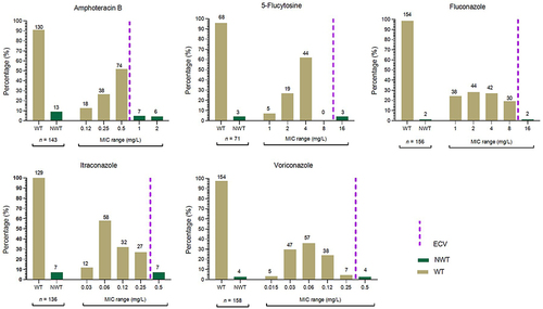 Figure 3 The distribution of WT/NWT and MIC ranges of different antifungal agents against the tested C. neoformans isolates tested in the current study. The brown bars indicate WT isolates, while the green bars are for NWT, and the purple line shows the ECVs for each antifungal agent according to CLSI guidelines (M57s). The ECV for amphotericin B is 0.5 mg/L, for 5-flucytosine and fluconazole is 8 mg/L, and for itraconazole, and voriconazole is 0.25 mg/L.