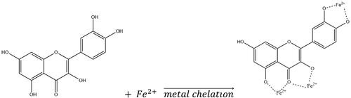 Figure 6. The chelation of polyphenol to free iron to form a polyphenol-metal complex.