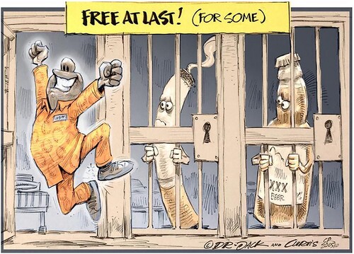 Figure 9. “Free at last (for some)” by Dr Jack and Curtis, City Press (10/05/2020). Reproduced with permission from John Curtis.