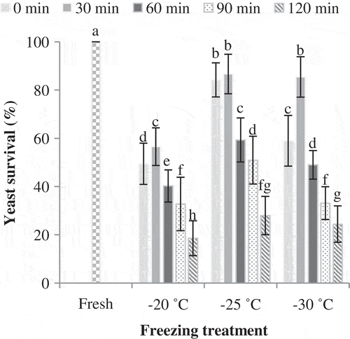 Figure 2. Effect of freezing rate and pre-fermentation time on yeast survival (%) of Sangak dough. Different letters in each type of freezing conditions indicate significant differences (p < 0.05).
