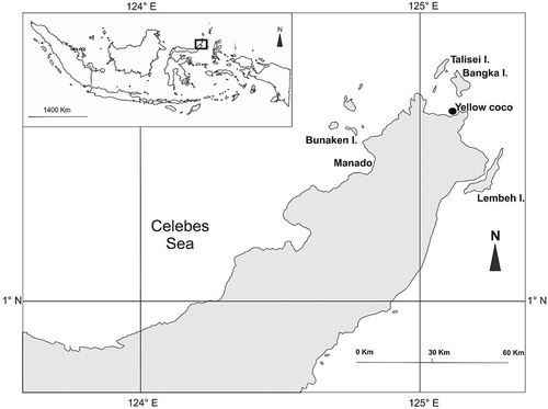 Figure 1. Study area and location of the Yellow coco diving site.