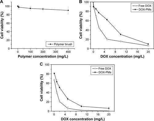 Figure 8 Cytotoxicity for HepG2 cells treated with polymer brush for 48 h (A) or free DOX or DOX-PMs for 24 h (B) or 48 h (C) in concentration specified.Abbreviations: DOX, doxorubicin; DOX-PM, doxorubicin-loaded polymeric micelle.