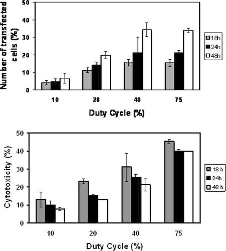 Figure 5. Duty cycle influence on the transfection efficiency rate. U87-MG cells were insonated during 1 min at 1 MHz, 310 kPa. Cells expressing GFP and dead cells were quantified by flow cytometry. Upper panel: Transfection rate; Lower panel: Cytotoxicity. Data shown are obtained relatively to the number of non-treated cells taken as 100%.