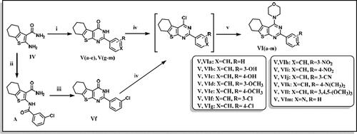 Scheme 2. Preparation of 2-aryl-4-morpholino-5,6,7,8-tetrahydrobenzo[4,5]thieno[2,3-d]pyrimidine (Va–m). Reagents & Conditions: (i) substituted aldehydes, HCl, DMF, reflux, overnight, 70–85% (ii) 3-chlorobenzoyl chloride, pyridine, stir, RT, overnight, 75% (iii) 2 N NaOH, ethanol, reflux, 24 h, 50% (iv) POCl3, reflux, 6 h, 75–85% (v) Morpholine, absolute ethanol: absolute isopropanol (1:1), reflux, 4 h to overnight, 75–95%.