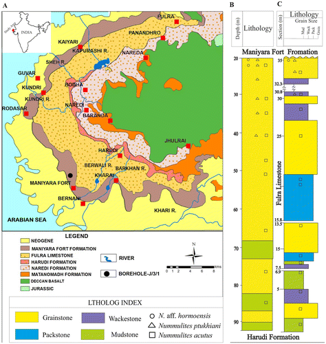 Figure 1. Locations of samples on the geological map of the study area (A), and the lithologs of the borehole (B) and outcrop sections (C).