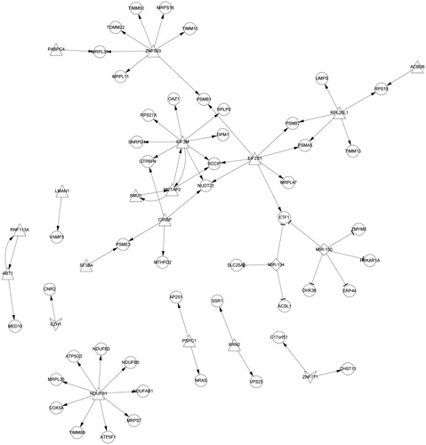 Figure 5. MiRNA-TF-DEGs regulatory network. The triangle nodes represent the up-regulated TFs; the quadrilateral nodes represent the down-regulated TFs; the arrow is the regulation relation; the circle nodes represent the target genesand diamond is the miRNA. DEG: differentially expressed gene; TF: transcription factor.