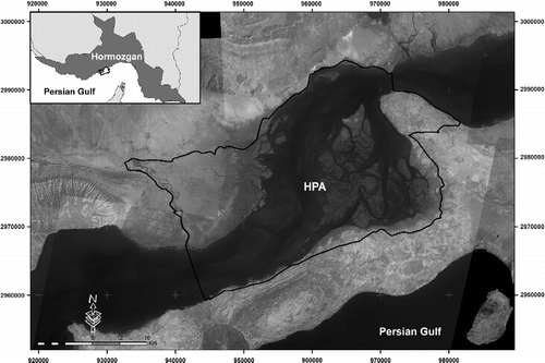 Figure 1 Hara Protected Area, Hormozgan, Iran.