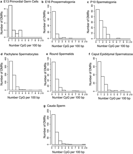 Figure 3. DMR CpG density. The number of DMRs at different CpG densities (CpG per 100 bp) are presented. (a) E13 primordial germ cells. (b) E16 prospermatogonia. (c) P10 spermatogonia. (d) Pachytene spermatocytes. (e) Round spermatids. (f) Caput epididymal spermatozoa. (g) Cauda sperm.