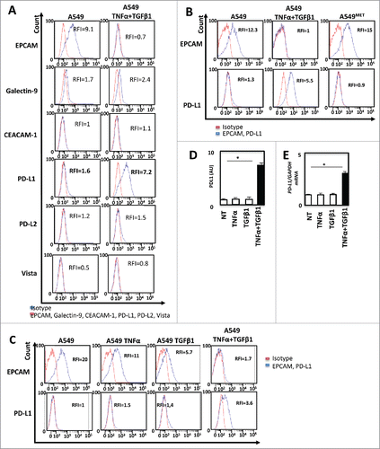 Figure 2. TNF-α and TGF-β1 cooperate to promote PD-L1 expression during EMT (A) The expression of immune-checkpoint inhibitors as Galectin-9, CEACAM1, PD-L1, PD-L2, Vista before and after induction of EMT on A549 cells was measured by FACS and measurements were independently repeated at least three times. (B) By FACS the changes in the expression of PD-L1 and EPCAM were also confirmed with 5 days of treatment and after the removal of cytokines during the next five days. (C) At last, the changes in the expression of PD-L1 with TNF-α or TGF-β1 alone, as well as with the combination of these cytokines were measured by FACS. (D and E) Expression of PD-L1 protein and mRNA were measured following TNFα/TGF-β1 treatment by ELISA or qRT-PCR. These experiments were repeated three times with similar results.