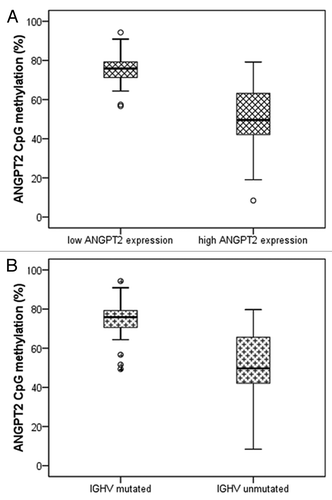 Figure 3. Relations between ANGPT2 CpG methylation, ANGPT2 mRNA expression and IGHV mutational status in 88 CLL patients. The percentage of ANGPT2 methylation (average of all 6 CpG sites) is plotted against ANGPT2 mRNA expression (A) and IGHV mutational status (B). The horizontal lines inside boxes indicate the median values. (A) CLL cases are divided in high and low ANGPT2 expression according to cut off value 2.967×10−6 (relative mRNA expression of ANGPT2 to B2M). High ANGPT2 expressing patients have significantly lower ANGPT2 methylation than low ANGPT2 expressing cases (median 50 vs. 76%; p < 0.001; Mann–Whitney test). (B) IGHV-unmutated patients have significantly lower ANGPT2 methylation than mutated cases (median 50 vs. 76%; p < 0.001; Mann–Whitney test).