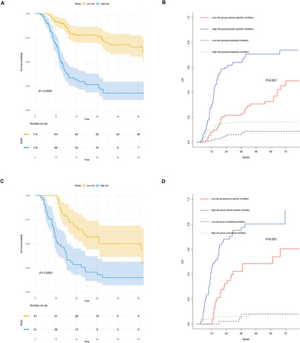 Figure 5 Kaplan–Meier analysis of overall survival (OS) between high-risk and low-risk groups for the training set and validation set (A and C). Cumulative incidence function curves with the P-value of Gray’s test between the high-risk and low-risk groups for the training set and validation set (B and D).