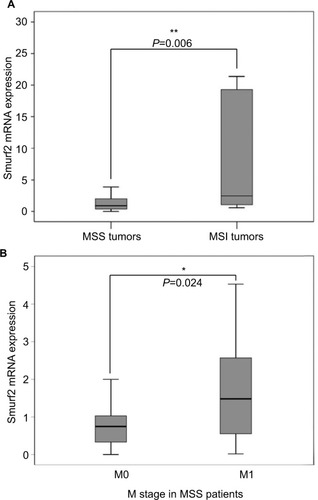 Figure 2 (A) Smurf2 expression dependent on patients’ microsatellite status. Patients with microsatellite stable (MSS) tumors (n=58) displayed a significantly lower expression of Smurf2 than patients with microsatellite instable (MSI) tumors (n=11; P=0.006). (B) Within the 58 MSS tumors, Smurf2 expression was significantly higher in M1 staged patients vs M0 (P=0.024).