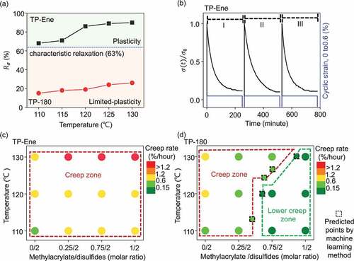 Figure 4. Thermally triggered topological alternating and distinct thermal plasticities. (a) Correlation of temperature-dependent stress relaxation in distinctive topological states. (b) Consecutive stress relaxation cycles of TP-Ene sample. The blue line represented cyclic strain (0 and 0.6%) at 130°C. (c) and (d) Correlation of temperature-dependent creep rates with various methacrylate/disulfide compositions. Panel (c) shows the samples without stabilized polymer (TP-Ene) and panel (d) shows the samples after post-stabilization (TP-180). Dash square represents the prediction via machine learning method.