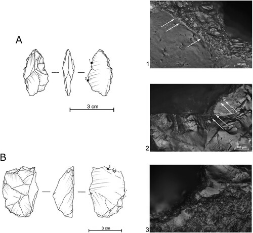 Figure 12. Use-wear analysis of artifacts from EDAR 135, lower horizon. A) Traces left by 1) contact with bone and 2) hide working. B) PDP alterations 3) covering almost the entire surface of the artifact.
