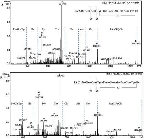 Figure 7. LC-MS/MS spectra of different forms of fengycin: (A) the precursor [M + 2H]2+ at m/z 732.405, containing Ala of position 6 and C16 β-hydroxy fatty acid chain; (B) the precursor [M + 2H]2+ at m/z 739.412, containing Ala of position 6 and C17 β-hydroxy fatty acid chain; (C) the precursor [M + 2H]2+ at m/z 746.419, containing Val of position 6 and C16 β-hydroxy fatty acid chain; (D) the precursor [M + 2H]2+ at m/z 753.427, containing Val of position 6 and C17 β-hydroxy fatty acid chain.