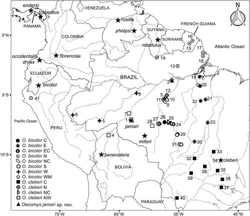 Figure 4. Map of collection localities of specimens of Oecomys jamari sp. nov., and O. bicolor and O. cleberi lineages included in this study. Stars indicate type localities of Oecomys jamari sp. nov. and the nominal taxa associated with O. bicolor according to Carleton & Musser (Citation2015). Lineages names proposed by Suarez-Villota et al. (2018), and this study (C = central; E = eastern; EC = east-central; N = northern; NC = north-central; NW = northwestern; S = southern; W = western; WM = westernmost). Locality data are provided in Supplemental Table S1.