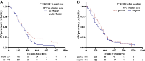 Figure 6 (A) Male HPV co-infection state-specific HPV infection persistence curves. (B) HPV infection state of female sexual partners-specific HPV infection persistence curves.