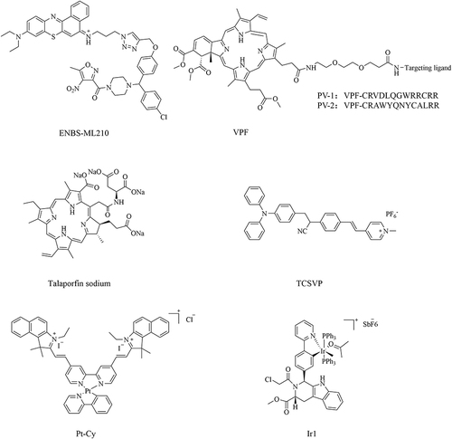 Figure 4 Chemical structural formula of PDTAC-like and SDTAC-like ferroptosis inducers.
