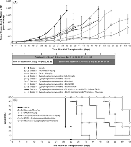 Figure 5. Effect of treatment on (A) tumor cell growth and (B) Kaplan–Meier estimate of survival in s.c. implanted WSU-DLCL2 lymphoma xenografts treated with obinutuzumab (GA101) or rituximab in combination with cyclophosphamide/vincristine or as monotherapy; survival endpoint was defined as tumor burden volume of 1000 mm3. IQR, interquartile range.