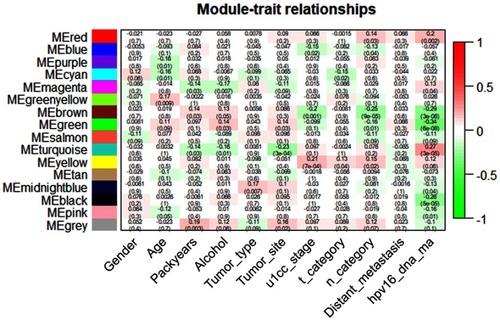 Figure 4 Heatmap of the correlation between the module eigengenes and clinical traits. Turquoise, green and brown modules are three most closely related modules to clinical traits.