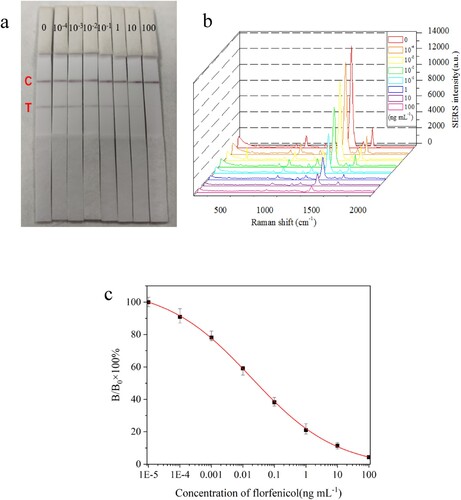 Figure 6. (a) Digital photograph of T lines on NC membranes after the assay procedure. The numbers above the T lines are the standard concentration of analyte (ng mL−1). (b) The Raman spectra arising from DTNB on T lines after assay procedures at optimal experimental conditions. (c) The calibration curve of the SERS-ICA for florfenicol, where B and B0 were the SERS intensities of DTNB at 1338 cm−1 when the florfenicol solutions were at the standard points and zero concentration.