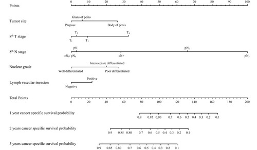 Figure 1 Novel nomogram 1 predicting cancer-specific survival of postoperative PSCC patients.