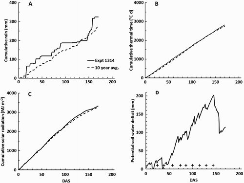 Figure 1. Weather observations at the site of Expt 1314 plotted against DAS carrots: A, cumulative rain; B, cumulative thermal time above a base of 0°C; C, cumulative solar radiation; and D, potential soil water deficit (Dø). In A–C, the solid lines indicate the observations for the 2013–2014 season and the pecked lines show the average for the previous 10 years. In B, the crosses indicate the days on which N fertiliser was applied.