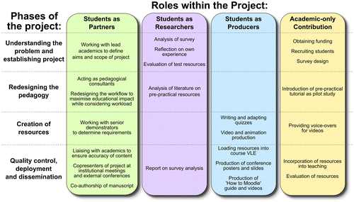 Figure 1. Student partnership approaches that were embedded throughout the project. The project was divided into four main phases (although the boundaries between these were relatively diffuse), as indicated on the left hand side and described in the text. Activities of students within the project fell into three general categories: acting as partners or pedagogical consultants, acting as researchers and acting as producers. Specific roles of the student and academic partners described in the text are aligned here with the four phases of the project.
