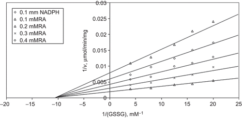 Figure 2.  Inhibition kinetics of bovine kidney cortex glutathione reductase (GR). Lineweaver–Burk double reciprocal plot of initial velocity against oxidized glutathione (GSSG) as varied substrate and rosmarinic acid (RA) (0.1–0.4 mM) as inhibitor at different fixed NADPH (0.1 mM) concentrations.