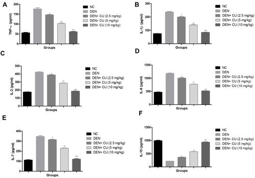 Figure 7 Effect of curcumae on the pro-inflammatory cytokines of obesity-induced hepatocellular carcinoma in rats. (A) TNF-α, (B) IL-1β, (C) IL-2, (D) IL-6, (E) IL-7 and (F) IL-10. Tested group rats were compared with the DEN control group rats. *P<0.05, **P<0.01 and ***P<0.001 were considered as significant, more significant and extreme significant, respectively.