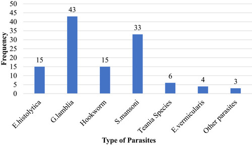 Figure 1 Frequency and type of intestinal parasites infection among pregnant women in Shewarobit health facilities, North Shoa, Amhara region, Ethiopia, 2020.