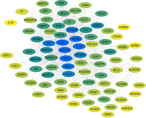 Figure 4 PPI network of Qiwei antipruritic in the treatment of pruritus.