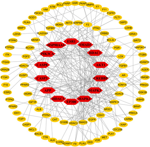 Figure 5 Topological analysis of PPI network. Red nodes on the inner circle indicate hub genes.