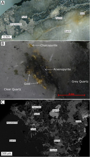 Figure 7. A, Polished hand specimen with a large area of arsenopyrite with minor, pyrite, apatite and gold occurs in a quartz vein collected from the Caledonian mine site. Sample CAL8E. B, Polished hand specimen showing the occurrence of gold, arsenopyrite, chalcopyrite and galena in a grey quartz vein. C, This BSE image shows the range of silicates, sulphides and elements that occur within hornfelsed material within a quartz vein. Sample CAL8E.