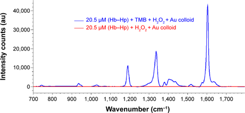 Figure S3 Comparison of the SERS spectra for Hb–Hp complex in the presence and absence of TMB peroxidase reactant. From the study, it is confirmed that Hb–Hp complex in the presence of Au colloid does not have any Raman activity; hence, no SERS signal is observed.Abbreviations: SERS, surface-enhanced Raman spectroscopy; Hb, hemoglobin; Hp, haptoglobin; TMB, 3,3′,5,5′-tetramethylbenzidine.