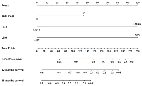 Figure 3 A nomogram for 6-, 12- and 18-month OS for patients with esophageal cancer.