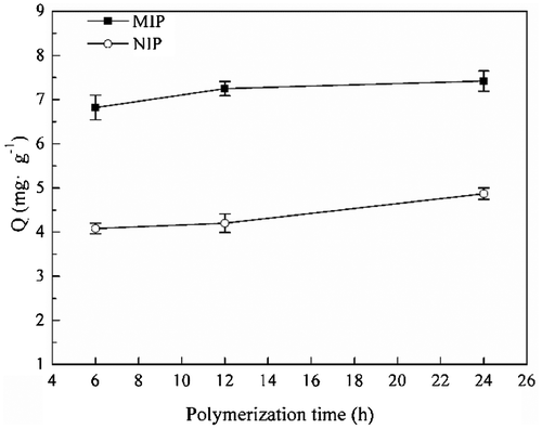 Figure 6. Adsorption capacity of MIP particles at different polymerization time.